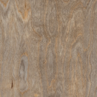 Amtico First Bleached Elm SF3W2516