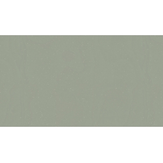 Tarkett Acczent Platinium 100 - Ground KAKI role